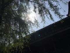 -舒羽咖啡(运河店)