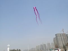 -丁香湖公园