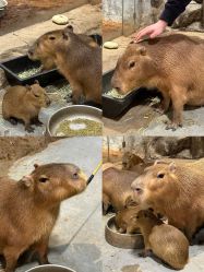 -Zoolung Zoolung动物主题公园(海信广场店)