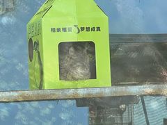 -青藏高原野生动物园