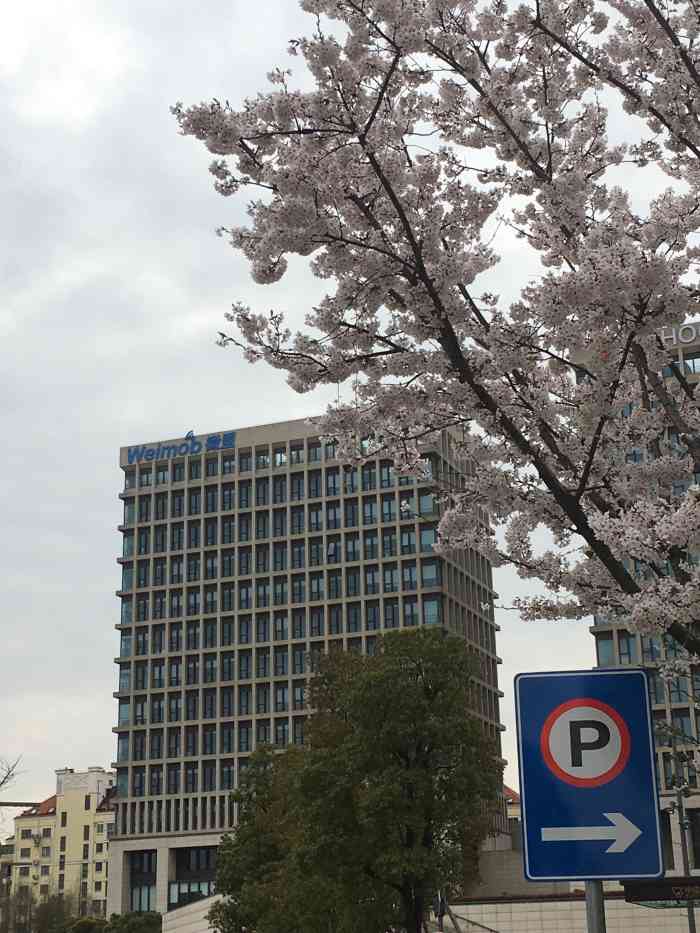 微盟大厦-"上次拍的时候是夏天,这次来个冬天的对比一.