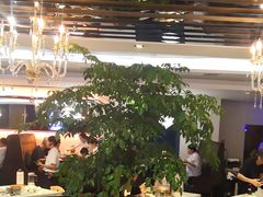 -小资太太(中央大街店)