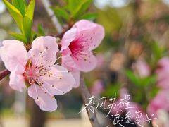 -苏州上方山国家森林公园