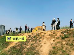-光明小镇欢乐田园