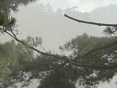 -洛阳白云山景区