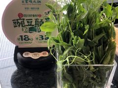 四川豌豆颠儿-王家渡火锅店(棕榈泉店)