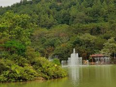 -广州白江湖森林公园