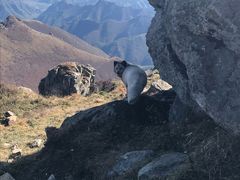 -灵山