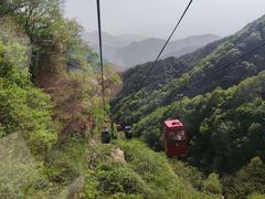 -王顺山国家森林公园
