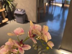 -施奈儿.洗头頭療.按摩SPA.采耳(上梅林店)