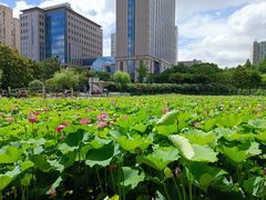 -黄兴公园