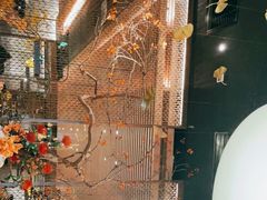 -京华烟云·北京烤鸭(领展购物广场·中关村店)