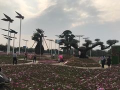 -万顷园艺世界