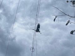 -哈尔滨北方森林动物园