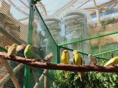 -杭州开元森泊度假乐园