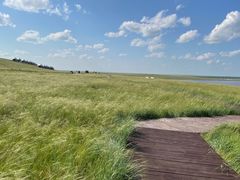 -呼和诺尔旅游景区