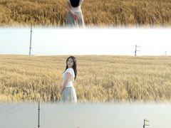 -杭州湾海上花田景区