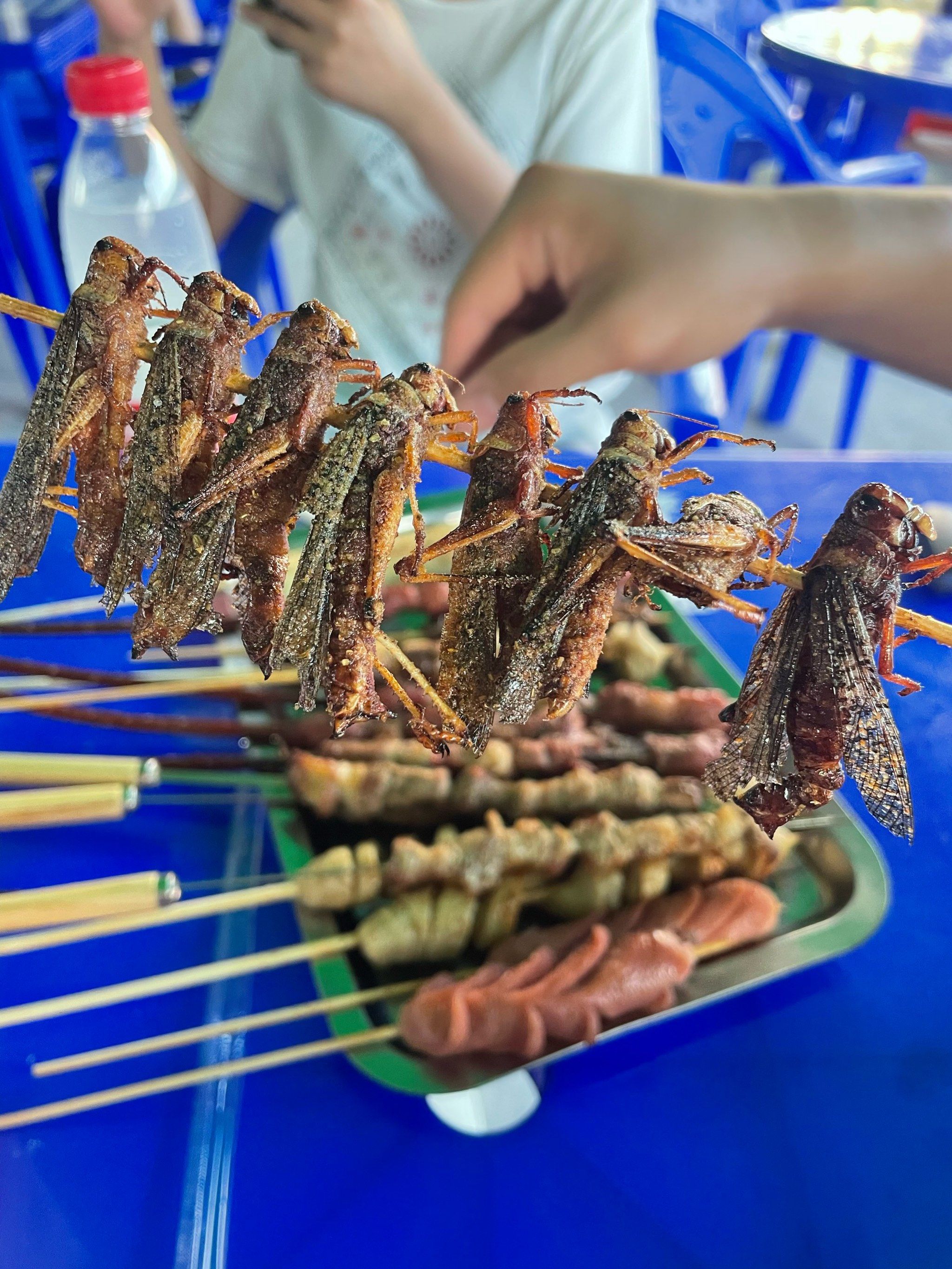 天天领红包家门口的烧烤店,胜在物品猎奇