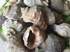 -山东八大碗山东老字号