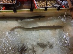 -罗源湾8号渔排