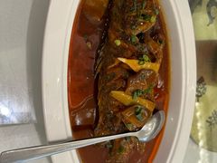 -骏莱海鲜鱼港(五角场店)