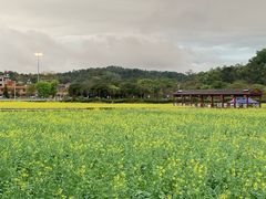 -红山村
