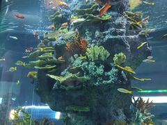 -福州罗源湾海洋世界旅游区
