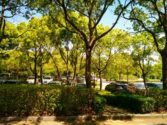 停车场-滨海高尔夫俱乐部