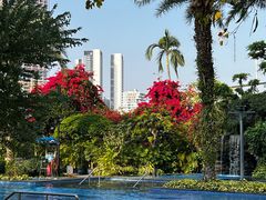 -广州白天鹅宾馆