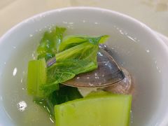沙白芥菜豆腐汤-旺富东海大酒楼(海鲜街店)