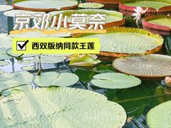 -国家植物园南园
