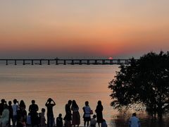 -宝安西湾红树林湿地公园