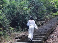 -火炉山森林公园