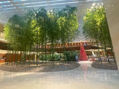 -北京望京凯悦酒店The Lounge大堂酒廊