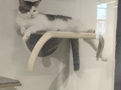 -废柴猫概念馆·桌游电玩卡牌(人广世茂店)