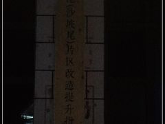 -猫咪博物馆(顶澳仔猫街店)