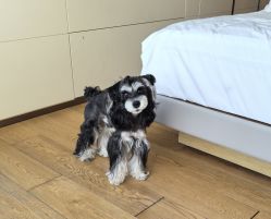 -baby bella小贝拉母婴护理中心(北京东隅店)