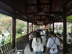 -胖大姐黄辣丁鱼庄(新津店)