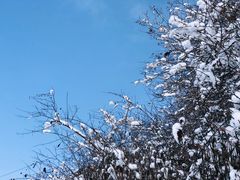 -太子岭滑雪场