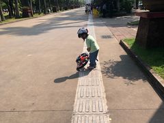 -万绿园