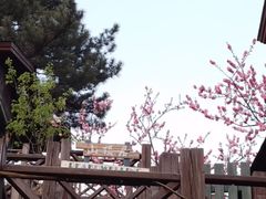 -北京水岸山吧度假村(雁栖镇店)