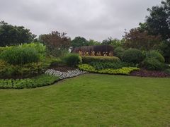 -新江湾城公园