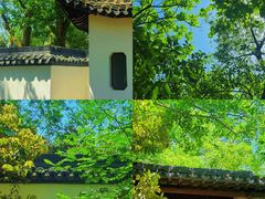 -上海佘山国家森林公园天马山园