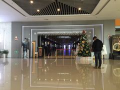 -大世界影城(无锡江南大悦城IMAX激光店)