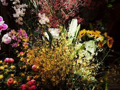 -春暖花开(西溪店)