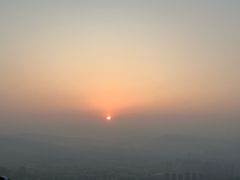 -长虫山生态公园风景林