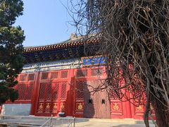 -北京艺术博物馆(万寿寺)