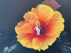 -南锣肥猫·麻辣烤鱼·15年现烤现卖(通州领展店)