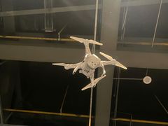 -盘龙城国家考古遗址公园