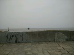 android_upload_pic-南汇嘴观海公园